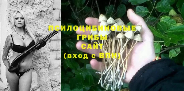 не бодяженный Заречный