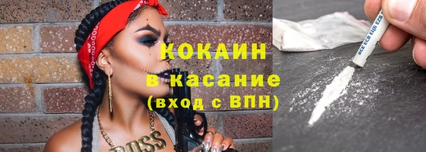 прущие грибы Осинники