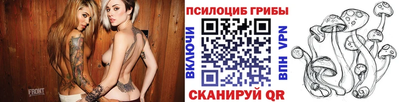 Псилоцибиновые грибы Psilocybe Лиски