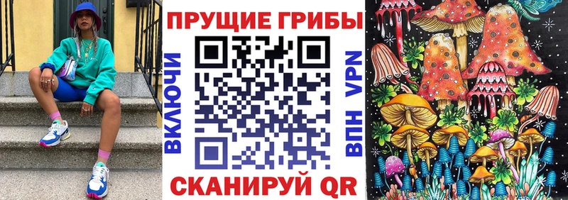 Псилоцибиновые грибы Cubensis  Лиски 